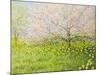 Springtime Impression-kirilstanchev-Mounted Art Print