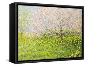 Springtime Impression-kirilstanchev-Framed Stretched Canvas