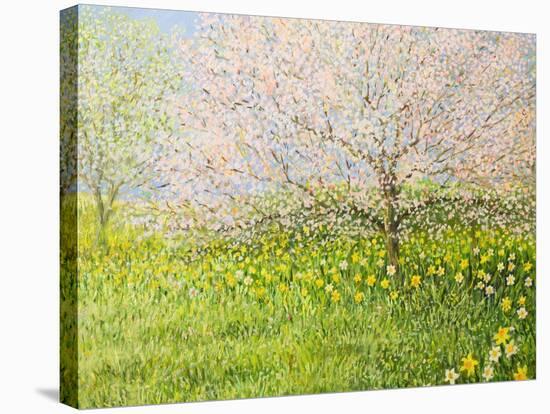 Springtime Impression-kirilstanchev-Stretched Canvas