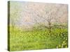 Springtime Impression-kirilstanchev-Stretched Canvas