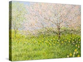 Springtime Impression-kirilstanchev-Stretched Canvas