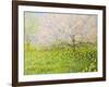 Springtime Impression-kirilstanchev-Framed Art Print