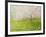 Springtime Impression-kirilstanchev-Framed Art Print