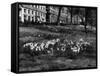 Springtime in Green Park-Fred Musto-Framed Stretched Canvas