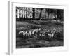 Springtime in Green Park-Fred Musto-Framed Photographic Print