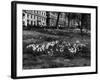 Springtime in Green Park-Fred Musto-Framed Photographic Print