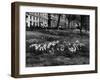 Springtime in Green Park-Fred Musto-Framed Photographic Print