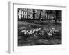 Springtime in Green Park-Fred Musto-Framed Photographic Print