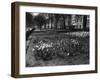 Springtime in Green Park-Fred Musto-Framed Photographic Print