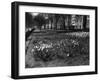 Springtime in Green Park-Fred Musto-Framed Photographic Print