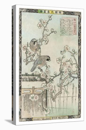 Springtime in Japan, Cherry Blossom and a Pair of Birds-null-Stretched Canvas