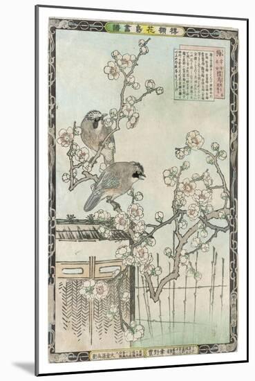 Springtime in Japan, Cherry Blossom and a Pair of Birds-null-Mounted Art Print