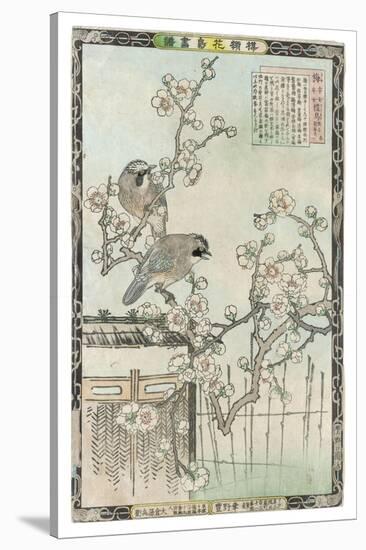 Springtime in Japan, Cherry Blossom and a Pair of Birds-null-Stretched Canvas