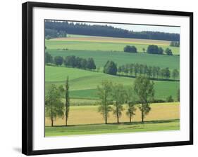 Springtime in Kamen Bohemian Fields, Czech Republic-Walter Bibikow-Framed Photographic Print