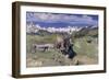 Springtime in the Alps, 1897-Giovanni Segantini-Framed Giclee Print