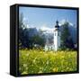 Springtime in the Austrian Alps (photo)-null-Framed Stretched Canvas