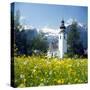Springtime in the Austrian Alps (photo)-null-Stretched Canvas