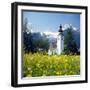 Springtime in the Austrian Alps (photo)-null-Framed Photographic Print