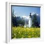 Springtime in the Austrian Alps (photo)-null-Framed Photographic Print