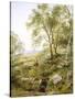 Springtime in Wales-Benjamin Williams Leader-Stretched Canvas