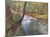 Springtime in woods,  pastel-Margo Starkey-Mounted Giclee Print