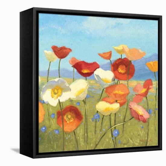 Springtime Meadow II-Shirley Novak-Framed Stretched Canvas