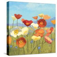 Springtime Meadow II-Shirley Novak-Stretched Canvas