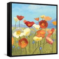 Springtime Meadow II-Shirley Novak-Framed Stretched Canvas