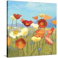 Springtime Meadow II-Shirley Novak-Stretched Canvas