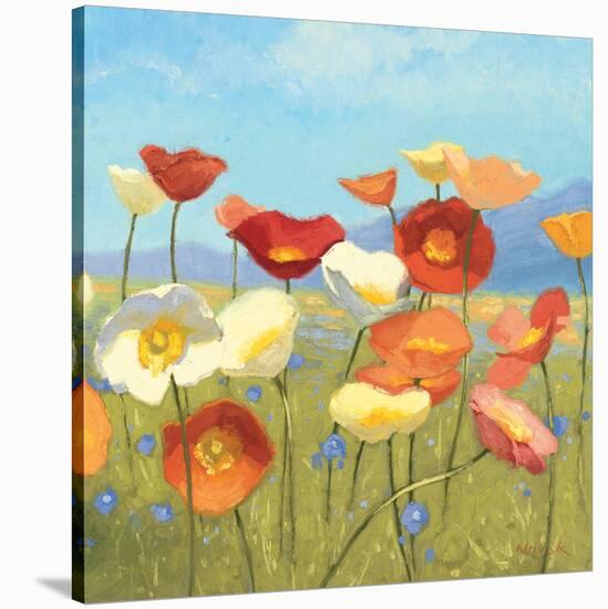 Springtime Meadow II-Shirley Novak-Stretched Canvas