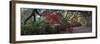 Springtime Morning-H J Herrera-Framed Photographic Print