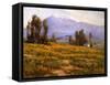 Springtime Mt. Baldy-Benjamin Chambers-Framed Stretched Canvas