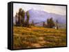 Springtime Mt. Baldy-Benjamin Chambers-Framed Stretched Canvas