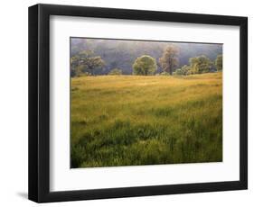 Springtime Oaks, Sacramento County, California, USA-Charles Gurche-Framed Photographic Print