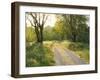 Springtime Path in the Countryside, Mantova/Mantua, Italy-Michele Molinari-Framed Photographic Print