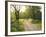 Springtime Path in the Countryside, Mantova/Mantua, Italy-Michele Molinari-Framed Photographic Print