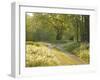 Springtime Path in the Countryside, Mantova/Mantua, Italy-Michele Molinari-Framed Photographic Print