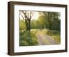 Springtime Path in the Countryside, Mantova/Mantua, Italy-Michele Molinari-Framed Photographic Print