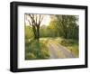 Springtime Path in the Countryside, Mantova/Mantua, Italy-Michele Molinari-Framed Photographic Print