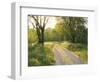 Springtime Path in the Countryside, Mantova/Mantua, Italy-Michele Molinari-Framed Photographic Print