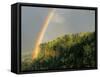 Springtime Rainbow Arching Over Vista House on Crown Point-Steve Terrill-Framed Stretched Canvas