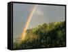 Springtime Rainbow Arching Over Vista House on Crown Point-Steve Terrill-Framed Stretched Canvas