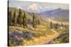 Springtime San Gabriel Valley-Benjamin Chambers-Stretched Canvas