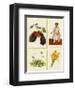 Springtime-Santa-Framed Art Print