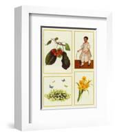 Springtime-Santa-Framed Art Print