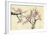 Springtime-Nan Rae-Framed Art Print