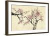 Springtime-Nan Rae-Framed Art Print