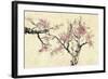 Springtime-Nan Rae-Framed Art Print