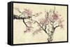 Springtime-Nan Rae-Framed Stretched Canvas