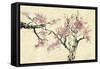 Springtime-Nan Rae-Framed Stretched Canvas